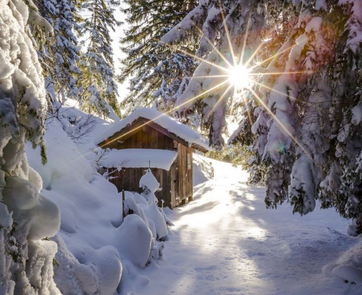 Winterzauber in Filzmoos verschneiter Wald mit Hütte 