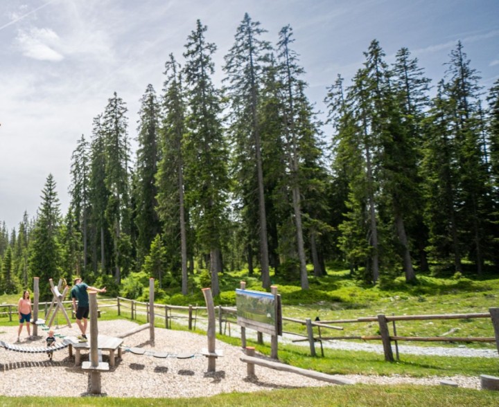Spa&szlig; f&uuml;r Eltern und Kinder beim Sommerurlaub mit der ganzen Familie in Filzmoos - im Bild Spiel-Park am Rossbrnad erreichbar mit der gratis Sommergondel