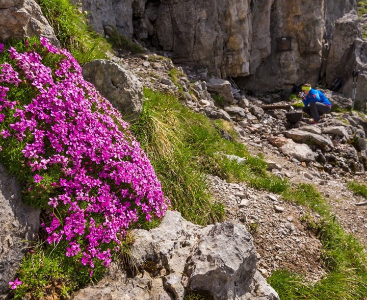 Kraftplatz Kamplbrunn Quelle