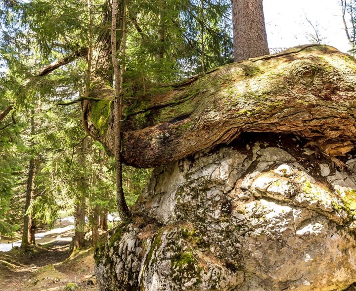 Kraftplatz Lärchenstein