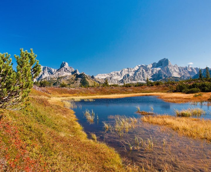 Schwarze Lacke am Gerzkopf