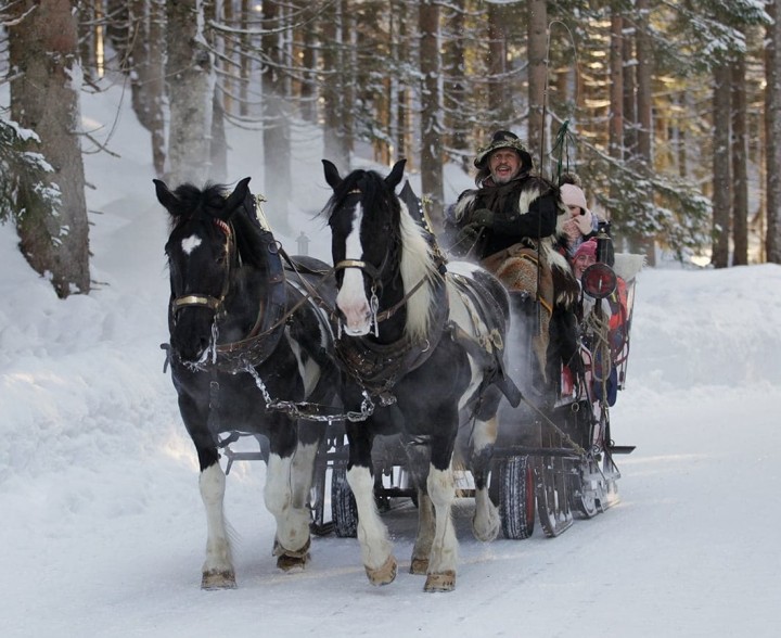 Eine Pferdekutschenfahrt in die Hofalmen