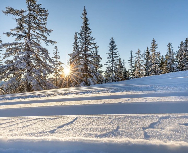 Herrliche Winterlandschaft